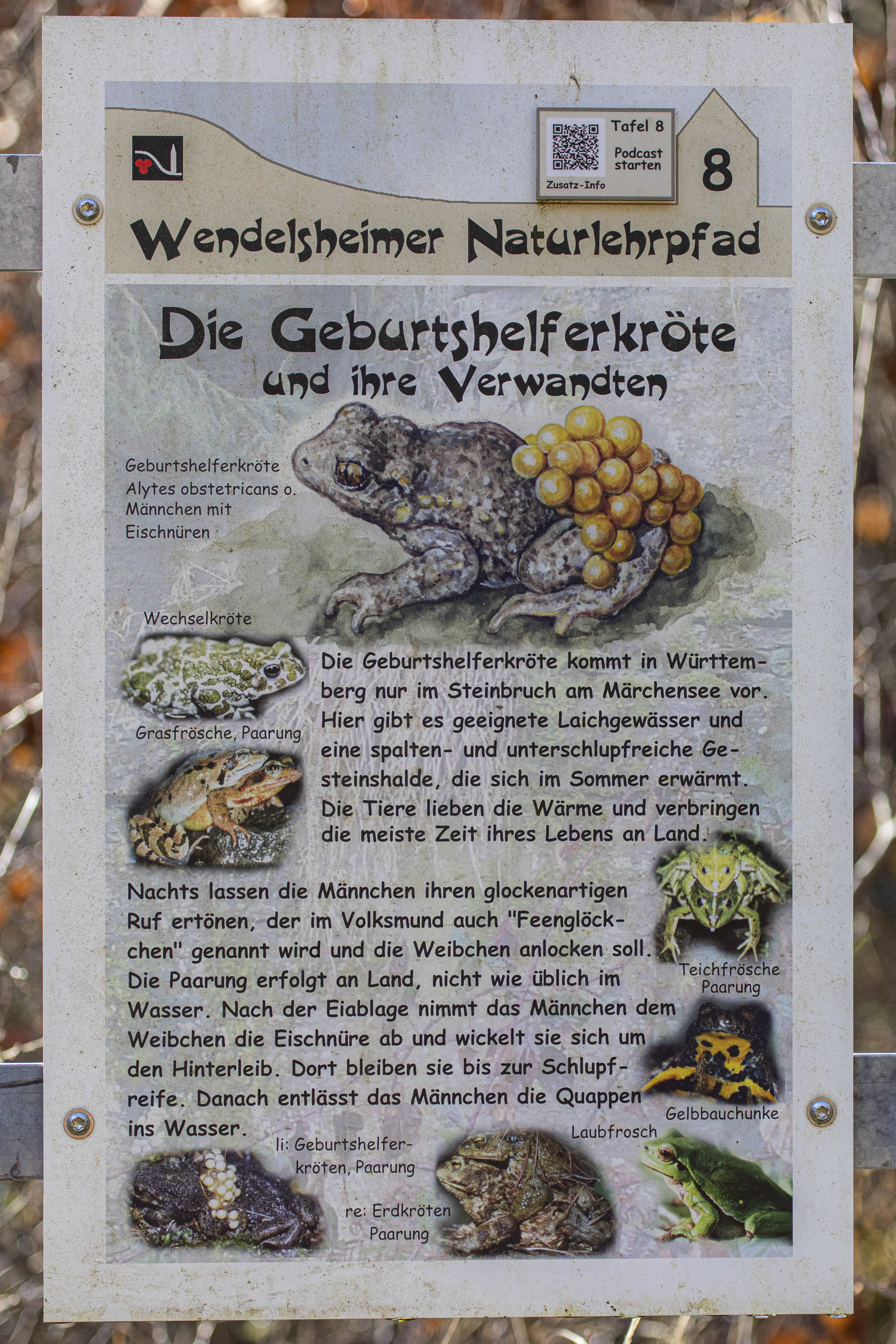 20251129122647 RD4 0848